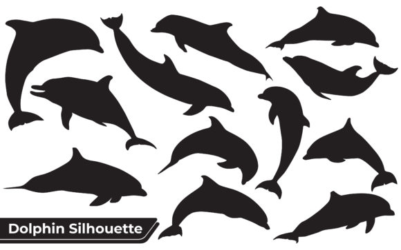 Animal Dolphin Silhouette Graphics & Illustrations