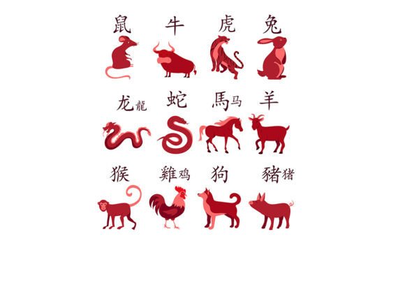 Chinese Zodiac Animal Chart: Graphics & Illustrations