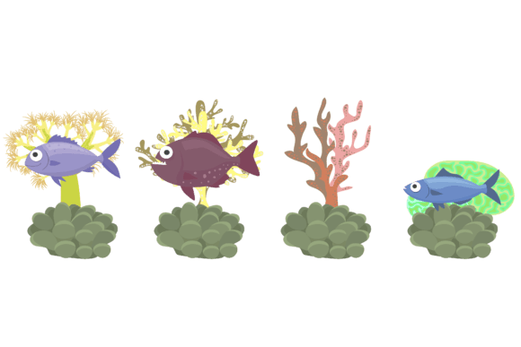 Fish Sea Animal Colorful Design Vector: Graphics & Illustrations for Crafters
