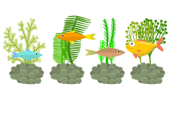 Fish Sea Animal Graphics & Illustrations