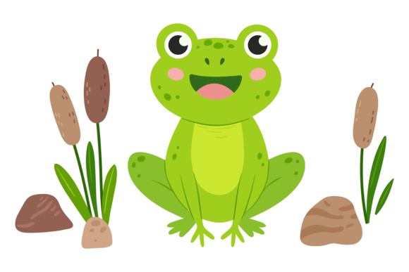 Frog Sit in Swamp Graphics & Illustrations