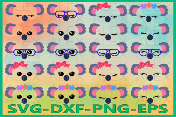 Koala Face Graphics & Illustrations