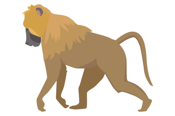 Monkey Color Icon Graphics: Jungle Animal Illustrations