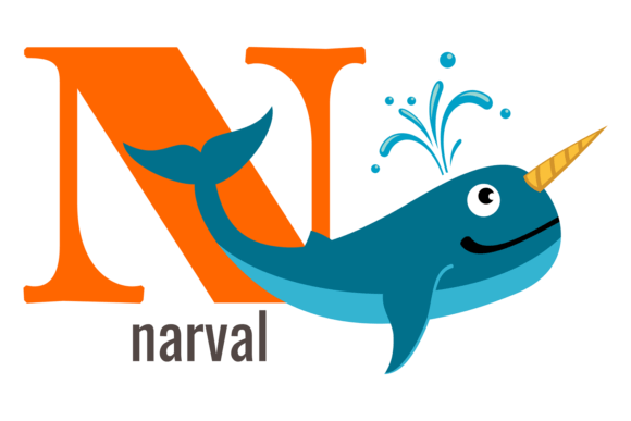 N Card: Alphabet Animal English Vocabul