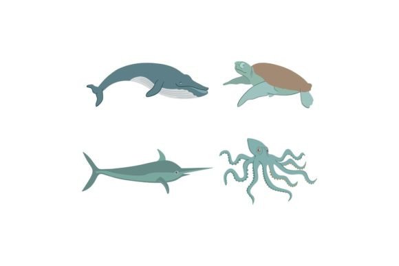 Sea Water Animal Graphics & Illustrations