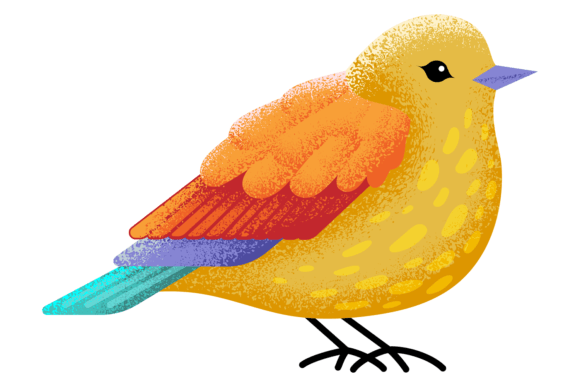 Stylized Bird Graphics: Bright Illustrations for Branding